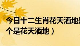 今日十二生肖花天酒地是什么肖（十二生肖哪个是花天酒地）