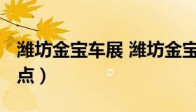 潍坊金宝车展 潍坊金宝车展2022年时间表地点）