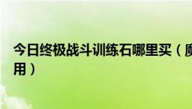 今日终极战斗训练石哪里买（魔兽世界终极战斗训练石怎么用）