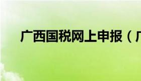 广西国税网上申报（广西纳税申报系统