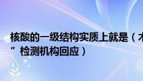 核酸的一级结构实质上就是（木桥笔记：核酸未出就是“阳”检测机构回应）