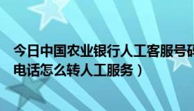 今日中国农业银行人工客服号码是多少（中国农业银行客服电话怎么转人工服务）