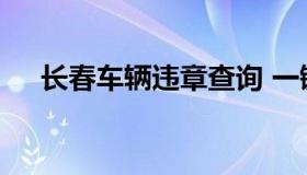 长春车辆违章查询 一键查违章车辆查询