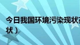 今日我国环境污染现状英文（我国环境污染现状）