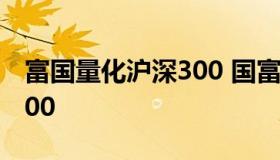 富国量化沪深300 国富沪深300和富国沪深300