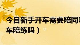 今日新手开车需要陪同吗（新手开车需要找汽车陪练吗）