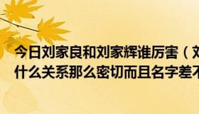 今日刘家良和刘家辉谁厉害（刘家良和刘家辉是亲兄弟吗为什么关系那么密切而且名字差不多）