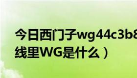 今日西门子wg44c3b80wb洗衣机（穿越火线里WG是什么）