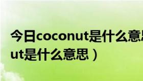 今日coconut是什么意思中文翻译成（coconut是什么意思）