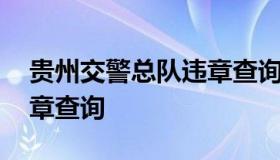 贵州交警总队违章查询 贵州交通警察总队违章查询