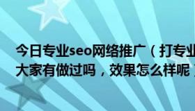 今日专业seo网络推广（打专业的SEO推广的公司来做推广大家有做过吗，效果怎么样呢）