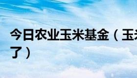 今日农业玉米基金（玉米基金会现在有多少钱了）