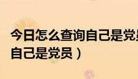 今日怎么查询自己是党员还是群众（怎么查询自己是党员）