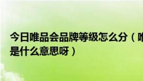 今日唯品会品牌等级怎么分（唯品会忽然下架的商品和品牌是什么意思呀）