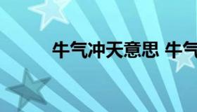 牛气冲天意思 牛气冲天意思解释