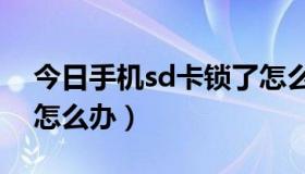 今日手机sd卡锁了怎么办（手机储存卡被锁怎么办）