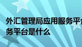 外汇管理局应用服务平台（外汇管理局应用服务平台是什么