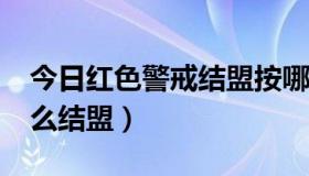 今日红色警戒结盟按哪个键?（红色警戒里怎么结盟）