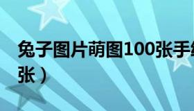 兔子图片萌图100张手绘（兔子图片萌图100张）