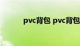 pvc背包 pvc背包男的可以背吗