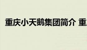 重庆小天鹅集团简介 重庆小天鹅集团现状）