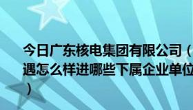 今日广东核电集团有限公司（中国广东核电集团有限公司待遇怎么样进哪些下属企业单位比较好请具体点儿，谢谢了！）