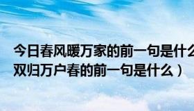 今日春风暖万家的前一句是什么诗句（春风暖万家，和南燕双归万户春的前一句是什么）