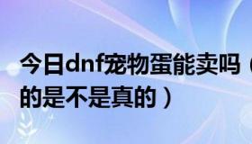 今日dnf宠物蛋能卖吗（DNF淘宝上卖宠物蛋的是不是真的）