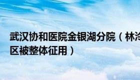 武汉协和医院金银湖分院（林泠说：武汉协和医院金银湖院区被整体征用）