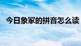 今日象冢的拼音怎么读（象冢是什么意思）