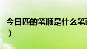 今日匹的笔顺是什么笔画（匹的笔顺是是什么）