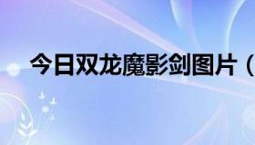 今日双龙魔影剑图片（双龙魔影剑好吗）