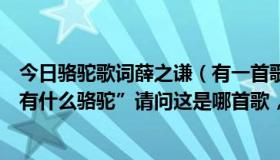 今日骆驼歌词薛之谦（有一首歌的歌词是“只看见沙漠，没有什么骆驼”请问这是哪首歌，提示一下，谢谢了）