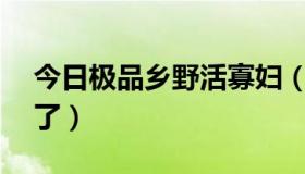 今日极品乡野活寡妇（极品 QQ号 都让谁用了）