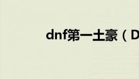 dnf第一土豪（DNF土豪职业