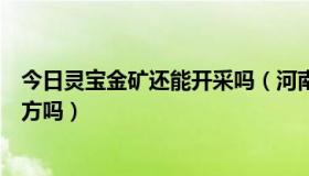 今日灵宝金矿还能开采吗（河南省灵宝市有灵宝金矿这个地方吗）