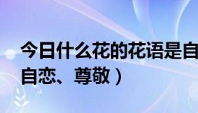 今日什么花的花语是自负（什么花代表自负、自恋、尊敬）