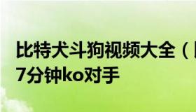 比特犬斗狗视频大全（比特犬比赛斗狗视频,17分钟ko对手