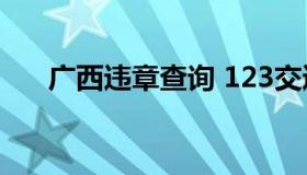 广西违章查询 123交通违章查询下载）