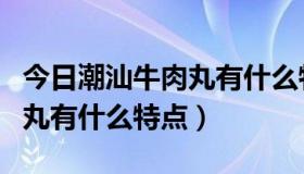 今日潮汕牛肉丸有什么特点和作用（潮汕牛肉丸有什么特点）