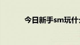 今日新手sm玩什么比较好上手