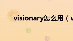 visionary怎么用（vision如何使用）