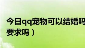 今日qq宠物可以结婚吗（QQ宠物结婚有什么要求吗）