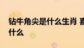 钻牛角尖是什么生肖 喜欢钻牛角尖的生肖是什么