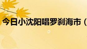 今日小沈阳唱罗刹海市（小沈阳的详细资料）