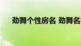 劲舞个性房名 劲舞名字大全女生高冷）