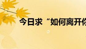 今日求“如何离开你 关心妍”歌词