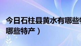 今日石柱县黄水有哪些特产店（石柱县黄水有哪些特产）