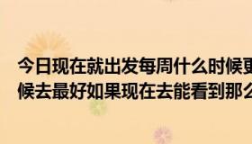 今日现在就出发每周什么时候更新（北京的普罗旺斯什么时候去最好如果现在去能看到那么多的薰衣草吗）