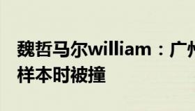 魏哲马尔william：广州交警回应大白送核酸样本时被撞